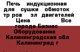 Печь   индукционная   для   сушки   обмоток   тр-ров,   зл. двигателей    › Цена ­ 3 000 000 - Все города Бизнес » Оборудование   . Калининградская обл.,Калининград г.